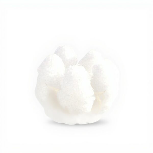 Affiche Victoria Secret Danse Fille Anges HERW Toile Déco